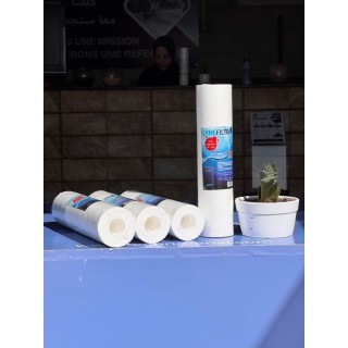 Cartouche Filtrante LYNE FILTER 10" – 5 µm